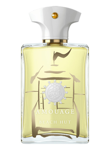 عطر ادکلن آمواج بیچ هات من