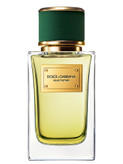عطر ادکلن دولچه گابانا ولوت وتیور
