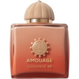 عطر ادکلن آمواج گایدنس 46